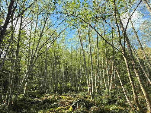 Lot 13 Bodega Beach Dr, Galiano Island, BC, V0N | Card Image