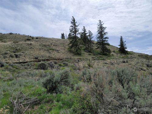 98 Tyee View Loop, Orondo, WA, 98843-8006 | Card Image