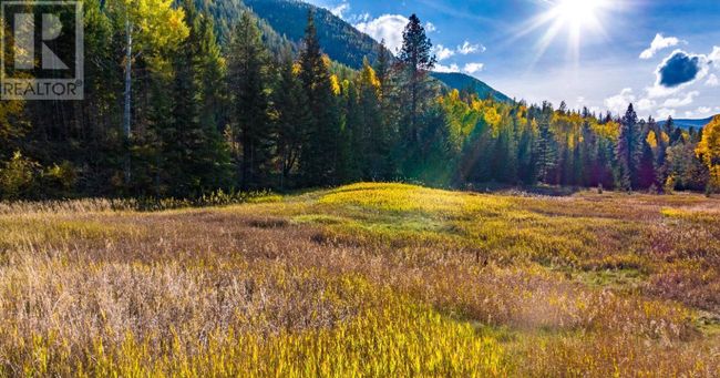 Lot 1 Corn Creek Rd, Home with 0 bedrooms, 0 bathrooms and null parking in Creston BC | Image 4