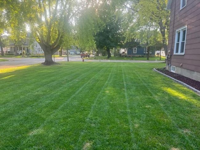 Yard | Image 35