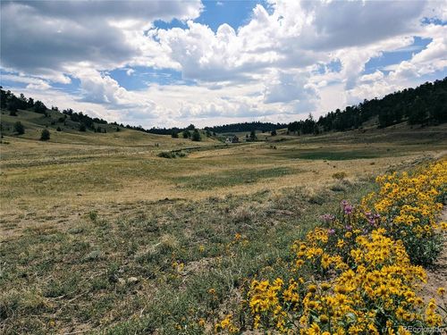 55 Jay Ct, Hartsel, CO, 80449 | Card Image