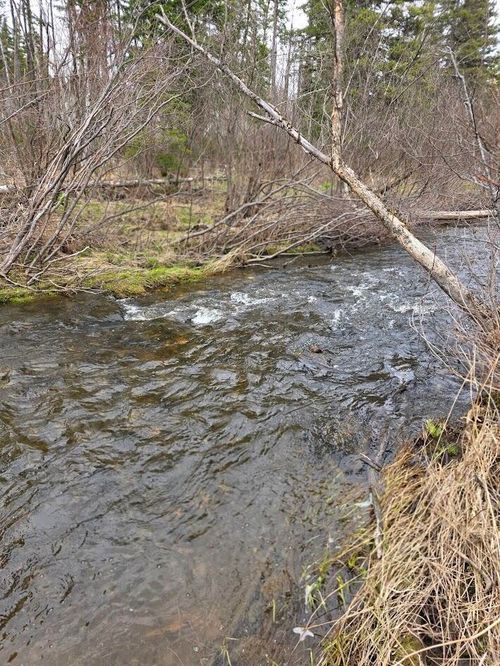 M31-4A off Gendreau Road, Madawaska, ME, 04756 | Card Image