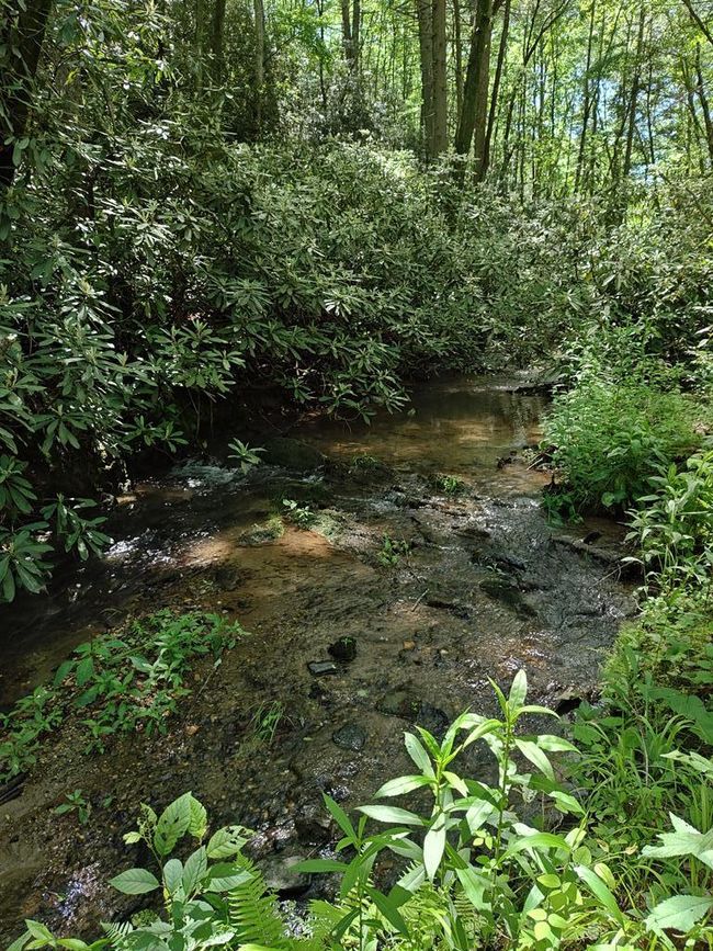 Lot 3 Megan Trace Ln, Home with 0 bedrooms, 0 bathrooms and null parking in Turtletown TN | Image 17