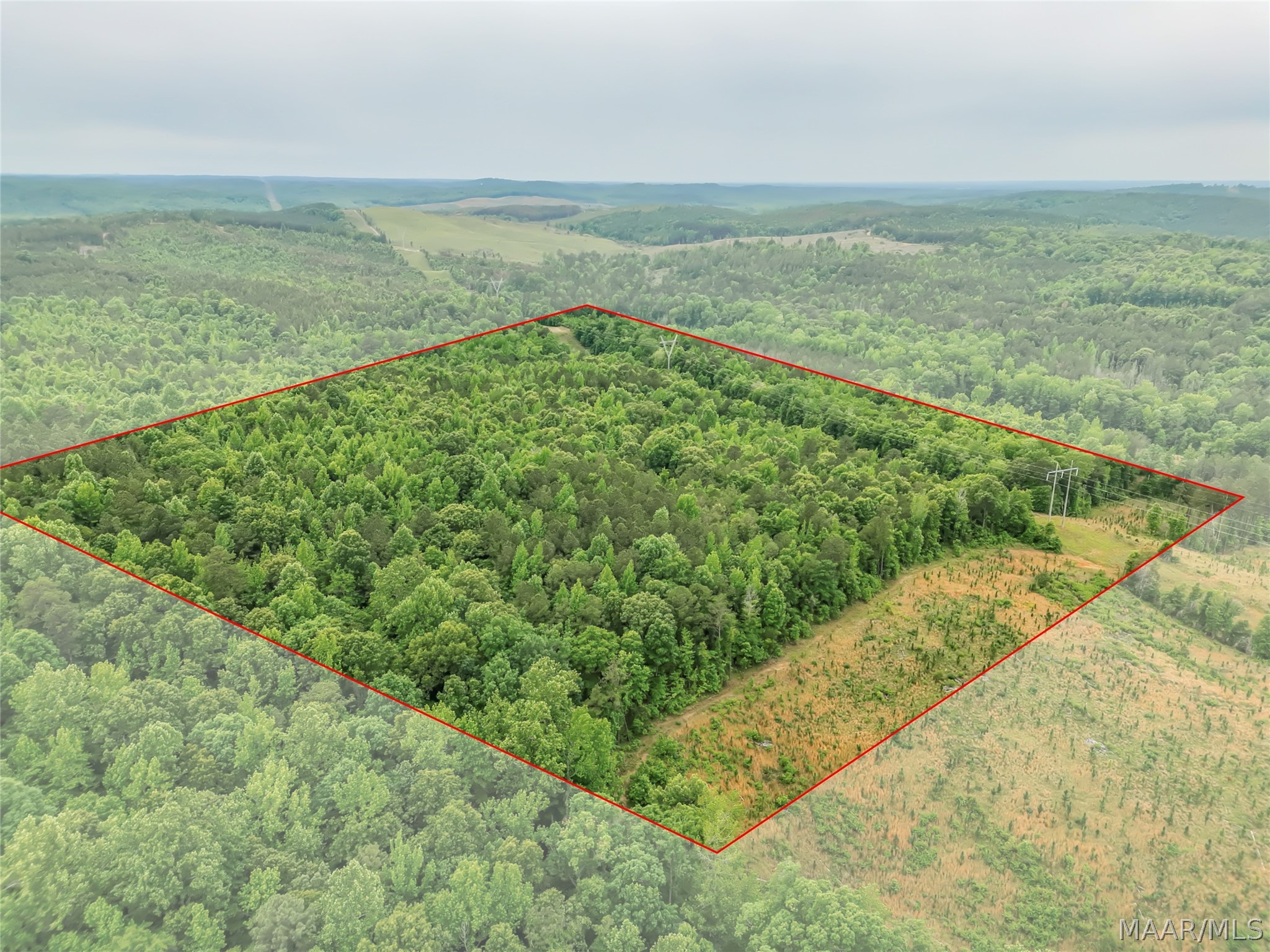 Land in Moundville 3