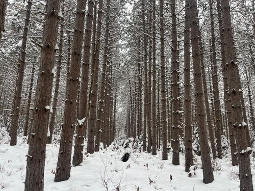 29931 Minerva Rd, Danbury, WI, 54830-9800 | Card Image