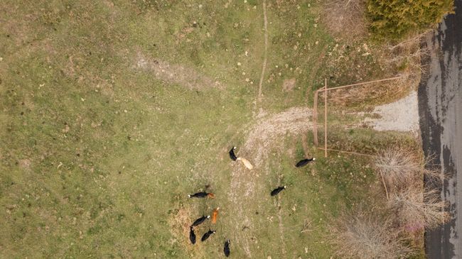 175 drone-26 | Image 24