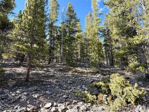 5282 Roy, Leadville, CO, 80461 | Card Image