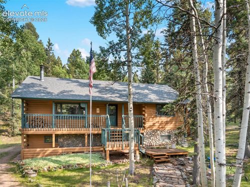 56 Blue Jay Ln, Divide, CO, 80814-8803 | Card Image