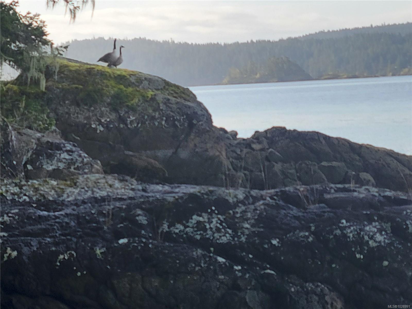 Residential in Sooke 2