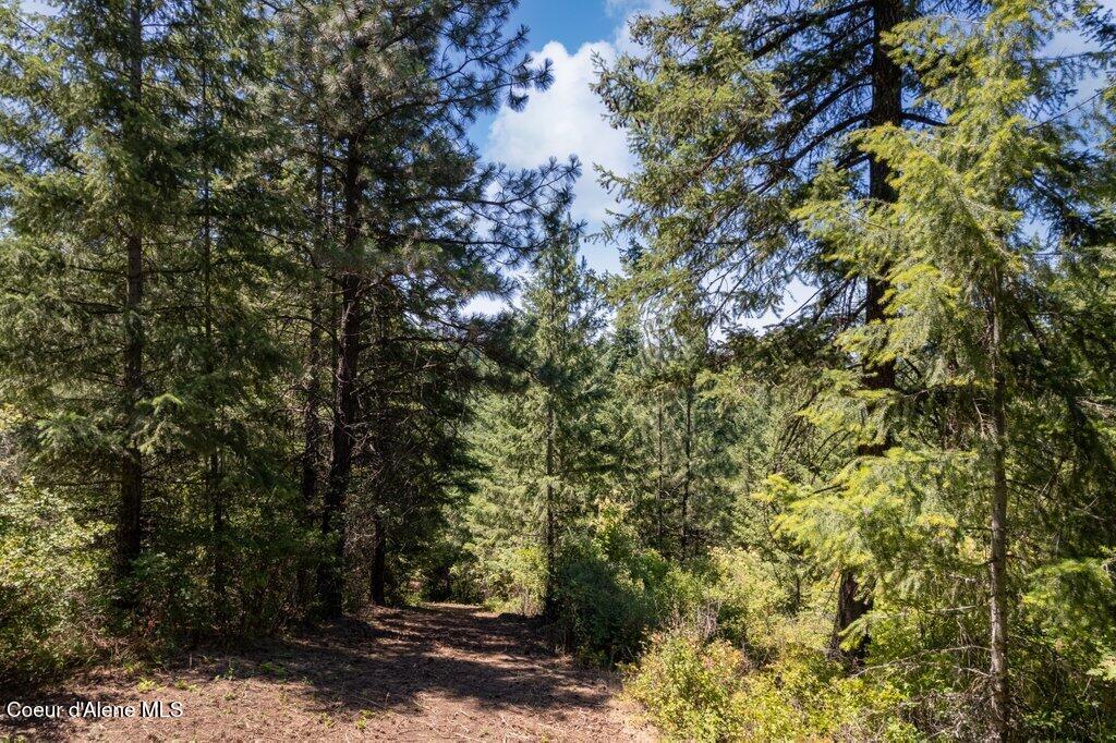 Land in Harrison 5