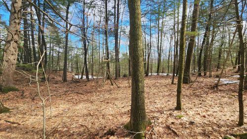 231 Valley Rd, New Durham, NH, 03855-2449 | Card Image