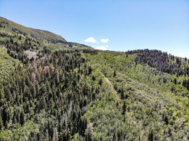 View of mountain feature with a view of trees | Image 30