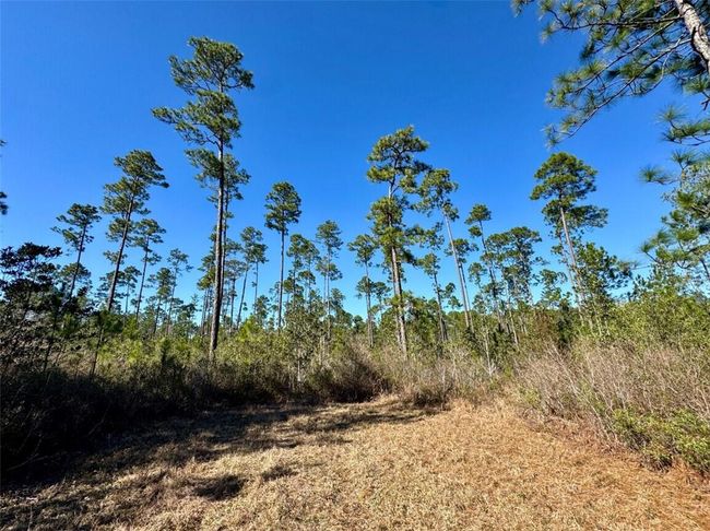 0 Robert White Rd, Home with 0 bedrooms, 0 bathrooms and null parking in Bay Minette AL | Image 19