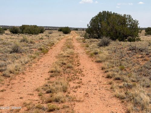 4-Lot 562 Chevelon Canyon Ranch Drive, Heber, AZ, 85928 | Card Image