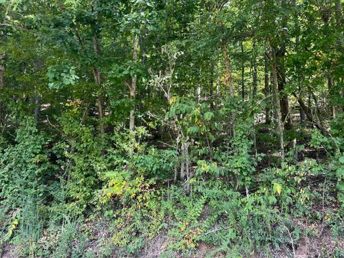 0 Old Weatherford Creek Rd, Lutts, TN, 38471 | Card Image