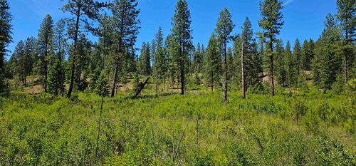 20X Lynx Cr Rd, Inchelium, WA, 99138 | Card Image