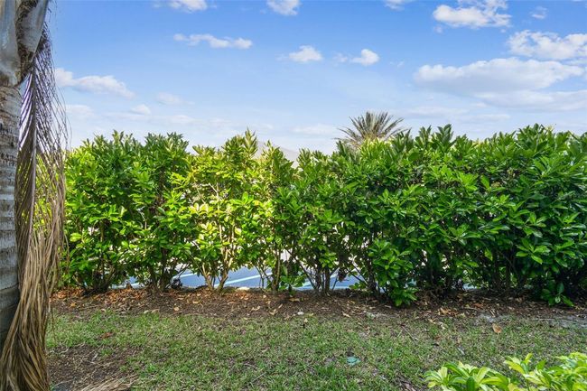 Back yard | Image 62