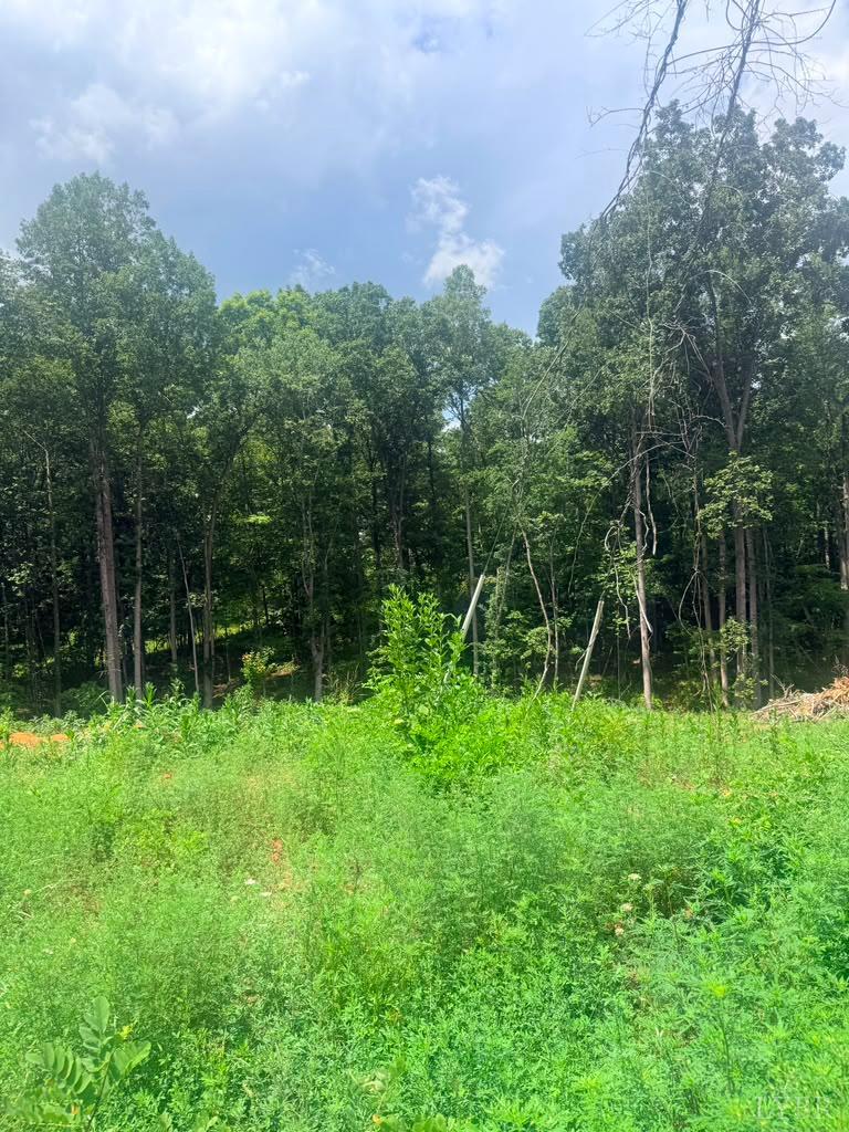 Land in Bedford 3