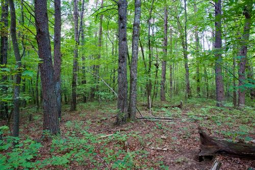 0 Fikes Field Rd, Spencer, TN, 38585 | Card Image