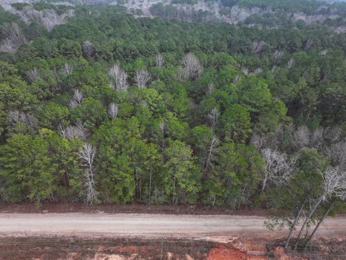 Lot 3 Silva Dr, Hamilton, GA, 31811 | Card Image