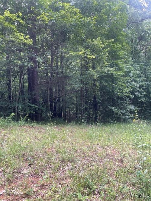 0 Hargrove Rd E, Cottondale, AL, 35453 | Card Image