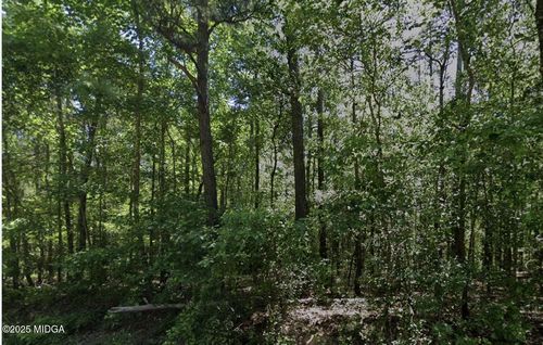 0 Howard Rd, Roberta, GA, 31078 | Card Image