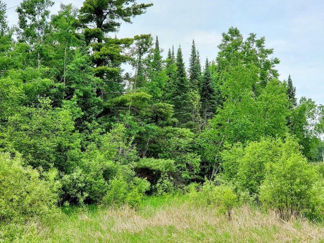 W12781 Rangeline Road, House other with 3 bedrooms, 1 bathrooms and null parking in ACKLEY WI | Image 40