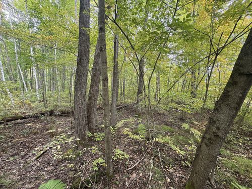 TBD 282nd Ave, Holcombe, WI, 54745 | Card Image