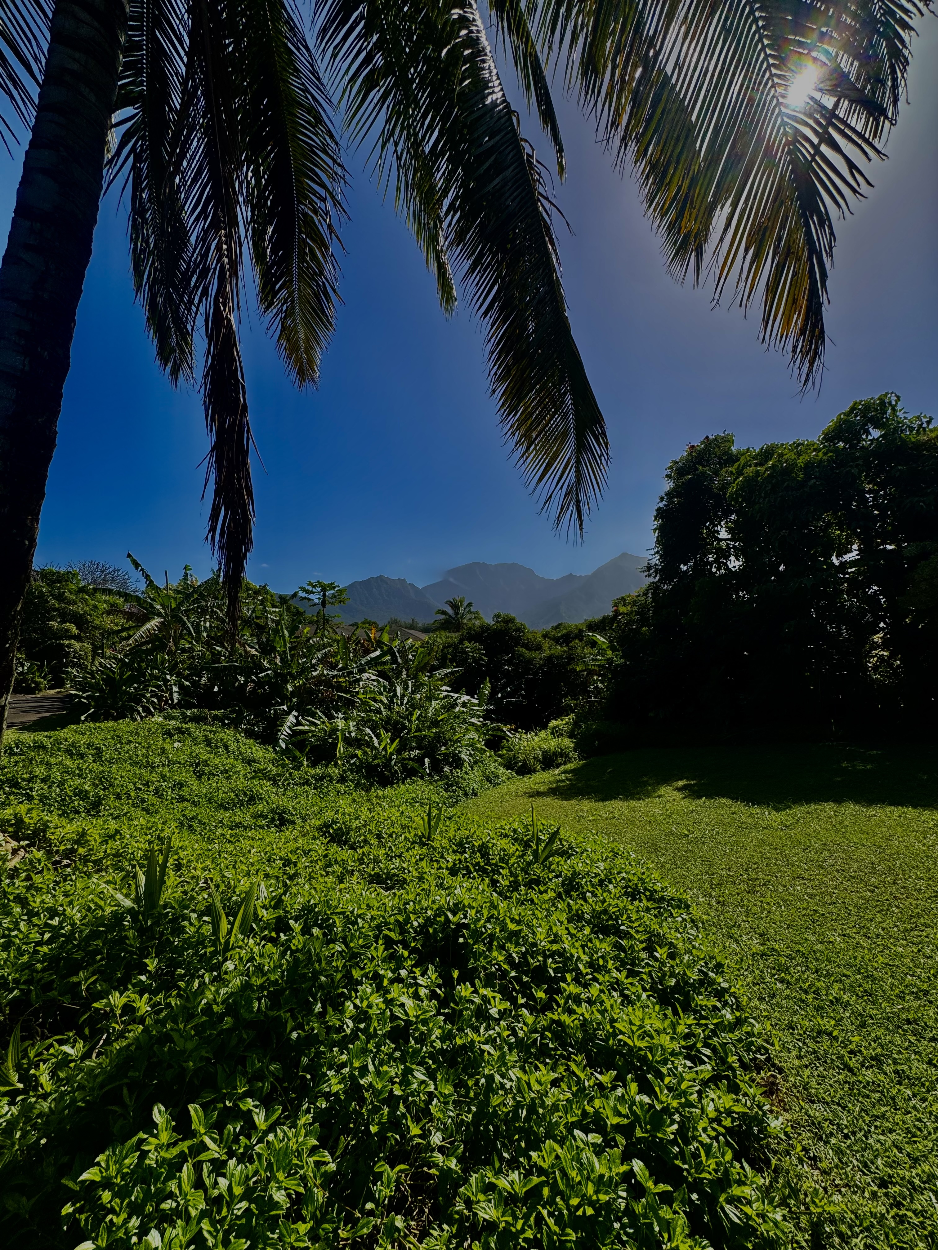 Land in Princeville 5