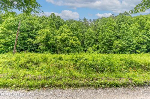 0 Johns Creek Rd, Del Rio, TN, 37727 | Card Image