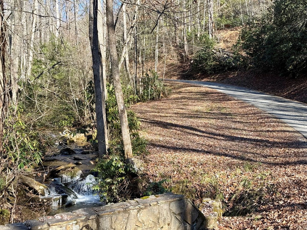 Land in Bryson City 2