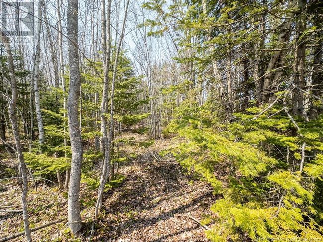 1387 Bells Mills Rd, Home with 0 bedrooms, 0 bathrooms and null parking in Richibouctou-Village NB | Image 28
