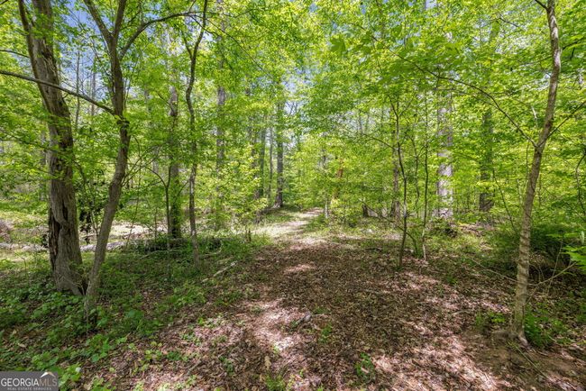 263 Hudson River Dr, House other with 4 bedrooms, 3 bathrooms and null parking in Commerce GA | Image 54