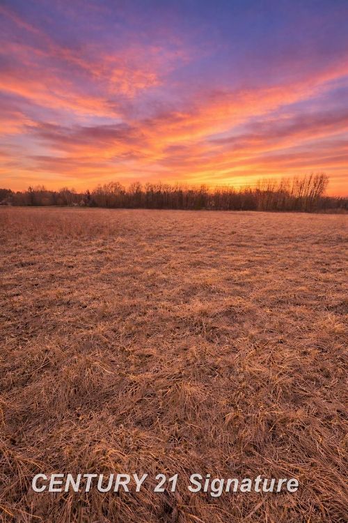 V/L E Hubbard Road, Larkin Charter Township, MI, 48642 | Card Image