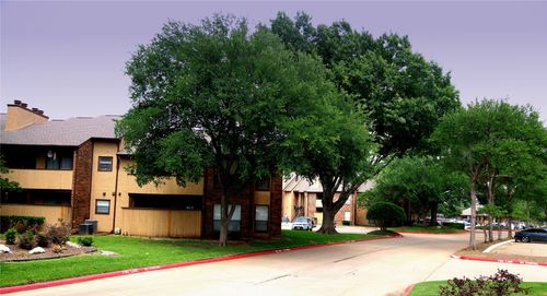 apt-1622-1105 Calico Ln, Arlington, TX, 76011-8810 | Card Image