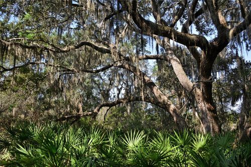 9255 Swaying Branch Rd, SARASOTA, FL, 34241-4005 | Card Image