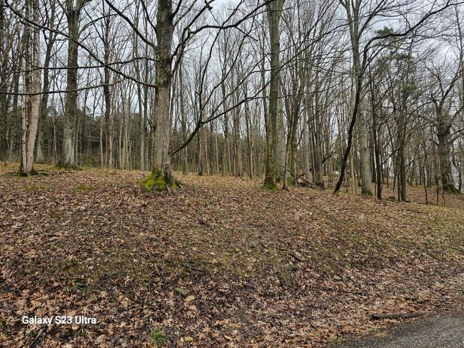 10186 Hunts Creek Rd, House other with 3 bedrooms, 1 bathrooms and null parking in Vevay IN | Image 21
