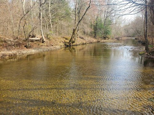 TBD Kates Creek Rd, Oden, AR, 71961 | Card Image