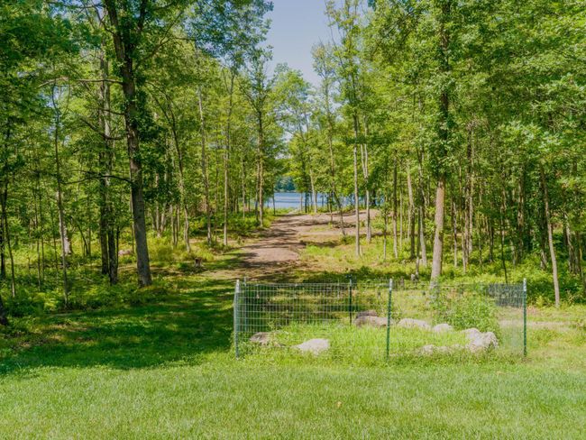View down to the lake | Image 32