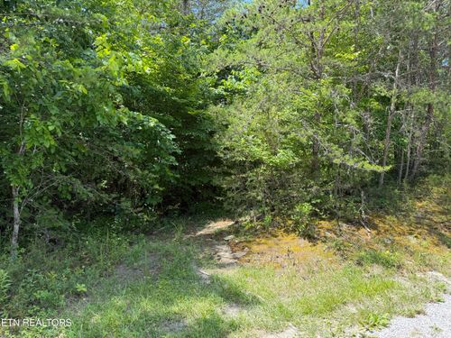 0 Mountain Shores Rd, Tazewell, TN, 37879 | Card Image