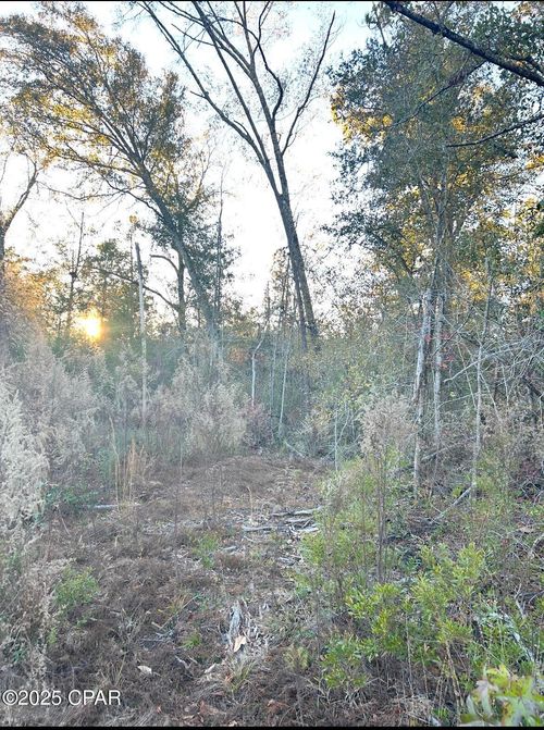 TBD Highway 90, Marianna, FL, 32446 | Card Image