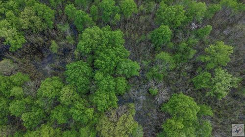 0000 Farm Road 195, Bagwell, TX, 75412 | Card Image