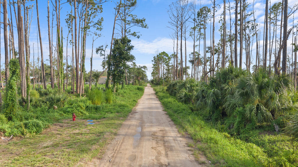 Land in Steinhatchee 2