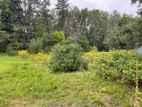 LOTS 93-95 Empire St, Kearney, ON, P0A1M0 | Card Image