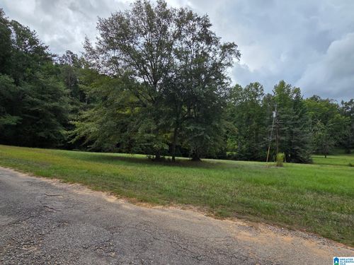 0-317 Rockyview Rd, WEST BLOCTON, AL, 35184-3201 | Card Image