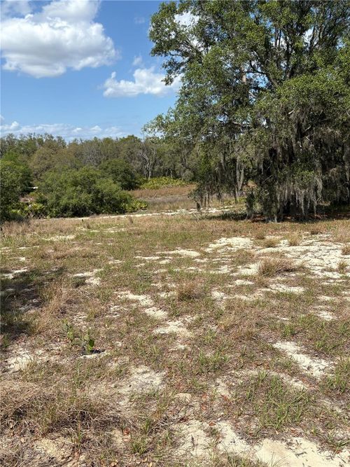 0 Dicks Rd, BABSON PARK, FL, 33827 | Card Image