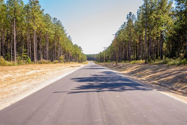 Drive through paved roads surrounded by beautiful, mature trees | Image 6