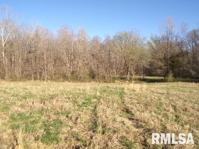 2225 Route 34, House other with 4 bedrooms, 2 bathrooms and null parking in Rosiclare IL | Image 55