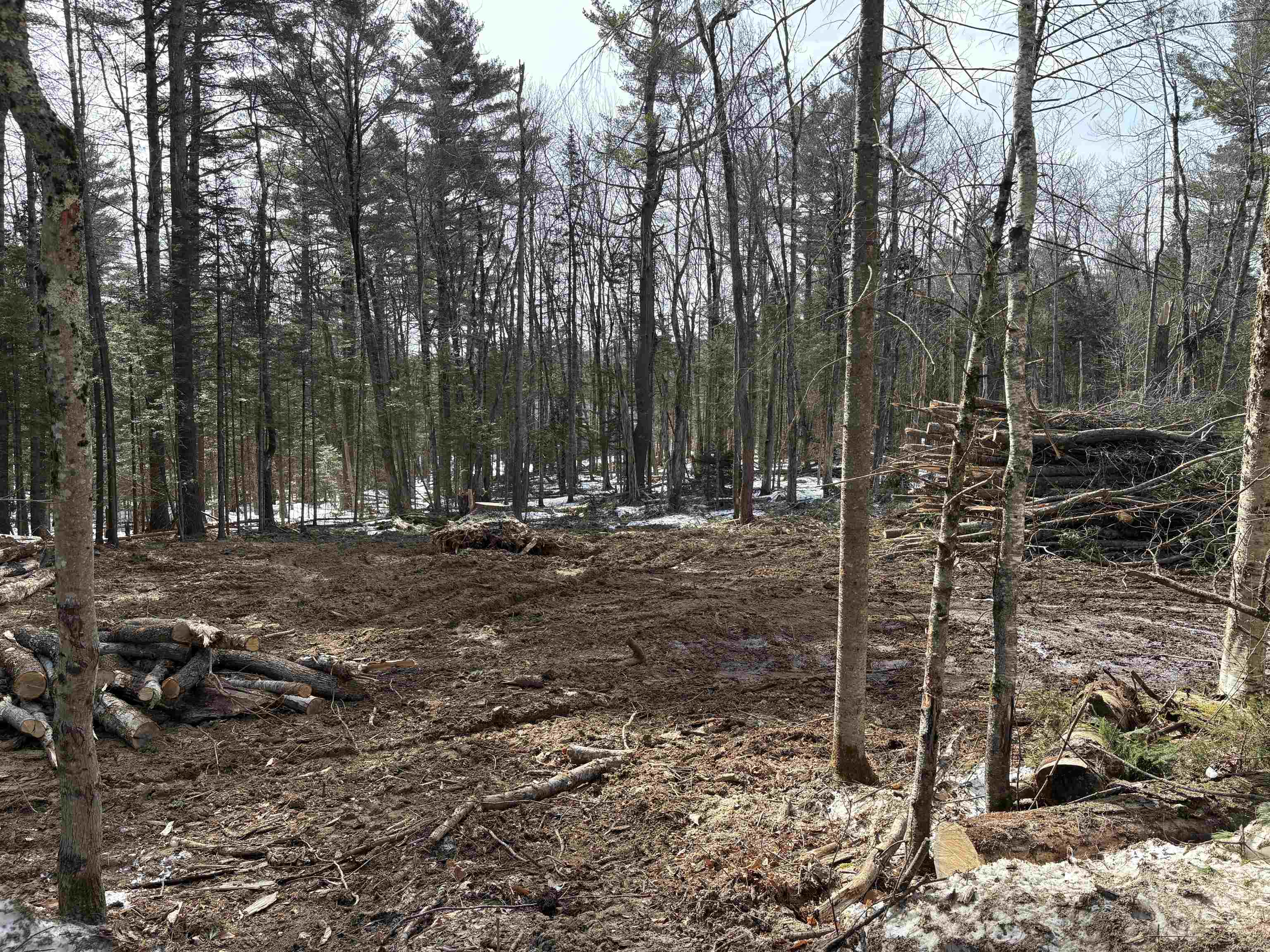 Land in Washington 2