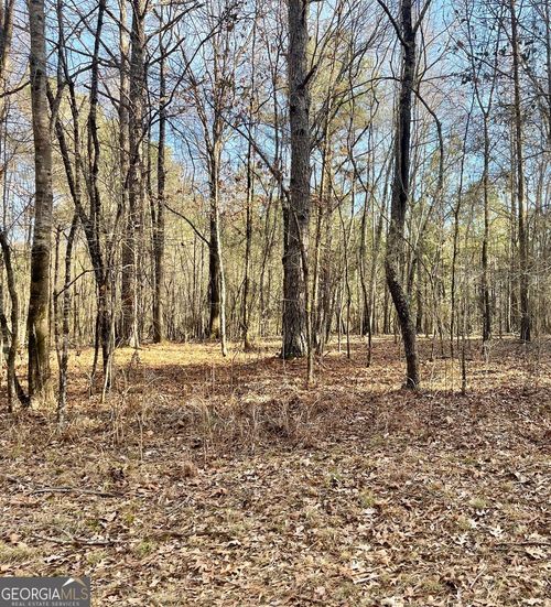 lot-8-fayette-padgett-14-0 Padgett Road, Senoia, GA, 30276 | Card Image